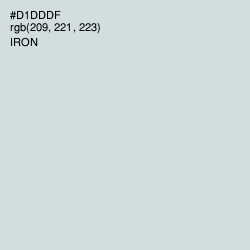 #D1DDDF - Iron Color Image