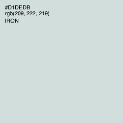 #D1DEDB - Iron Color Image