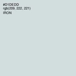 #D1DEDD - Iron Color Image