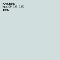 #D1DEDE - Iron Color Image