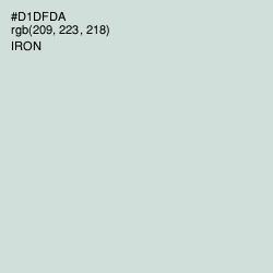 #D1DFDA - Iron Color Image