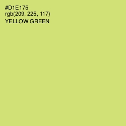 #D1E175 - Yellow Green Color Image