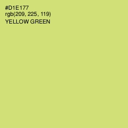 #D1E177 - Yellow Green Color Image