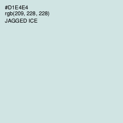 #D1E4E4 - Jagged Ice Color Image