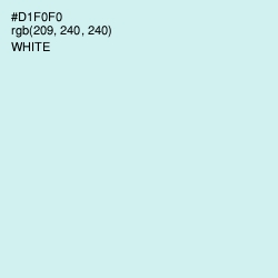 #D1F0F0 - Iceberg Color Image