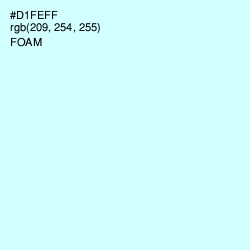 #D1FEFF - Foam Color Image