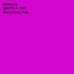 #D206CA - Shocking Pink Color Image