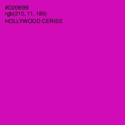 #D20BB9 - Hollywood Cerise Color Image