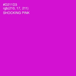 #D211D3 - Shocking Pink Color Image