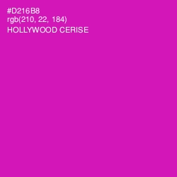 #D216B8 - Hollywood Cerise Color Image