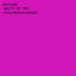 #D216B9 - Hollywood Cerise Color Image