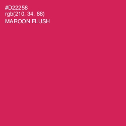 #D22258 - Maroon Flush Color Image
