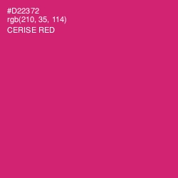 #D22372 - Cerise Red Color Image
