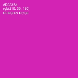 #D223B4 - Persian Rose Color Image