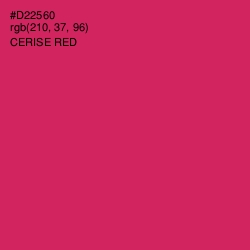 #D22560 - Cerise Red Color Image