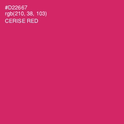 #D22667 - Cerise Red Color Image