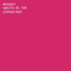 #D22867 - Cerise Red Color Image