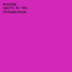 #D228B9 - Persian Rose Color Image