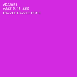 #D229E1 - Razzle Dazzle Rose Color Image