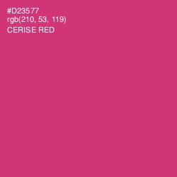 #D23577 - Cerise Red Color Image
