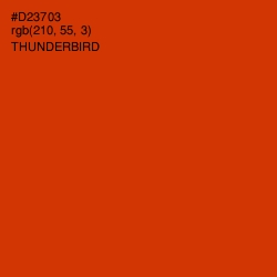 #D23703 - Thunderbird Color Image