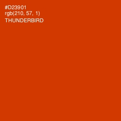 #D23901 - Thunderbird Color Image