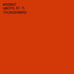 #D23907 - Thunderbird Color Image