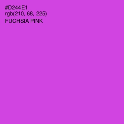 #D244E1 - Fuchsia Pink Color Image