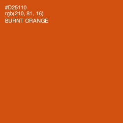 #D25110 - Burnt Orange Color Image