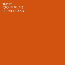 #D25210 - Burnt Orange Color Image