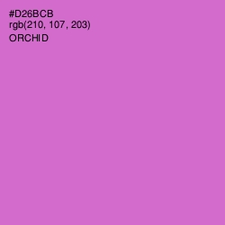 #D26BCB - Orchid Color Image