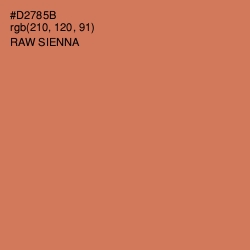 #D2785B - Raw Sienna Color Image