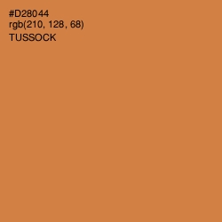 #D28044 - Tussock Color Image