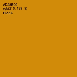 #D28B09 - Pizza Color Image