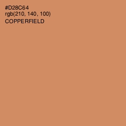 #D28C64 - Copperfield Color Image