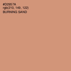 #D2957A - Burning Sand Color Image