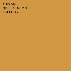 #D29743 - Tussock Color Image