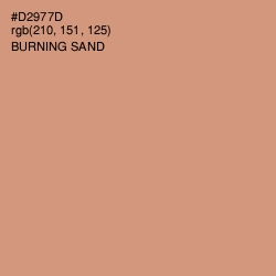 #D2977D - Burning Sand Color Image