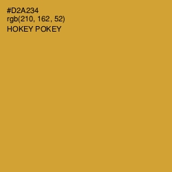 #D2A234 - Hokey Pokey Color Image