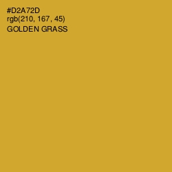 #D2A72D - Golden Grass Color Image