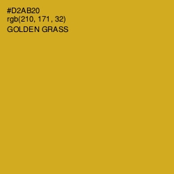 #D2AB20 - Golden Grass Color Image