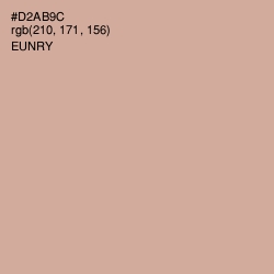#D2AB9C - Eunry Color Image