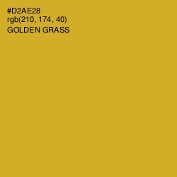 #D2AE28 - Golden Grass Color Image