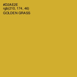 #D2AE2E - Golden Grass Color Image