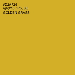 #D2AF26 - Golden Grass Color Image