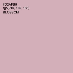 #D2AFB9 - Blossom Color Image