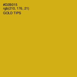 #D2B015 - Gold Tips Color Image