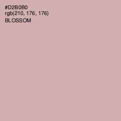 #D2B0B0 - Blossom Color Image