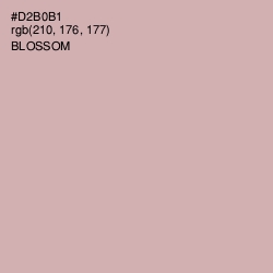 #D2B0B1 - Blossom Color Image