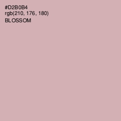 #D2B0B4 - Blossom Color Image